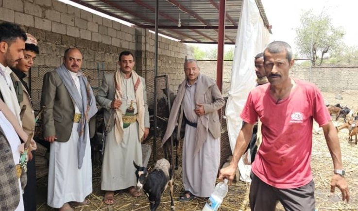 جمعية حزم العدين التعاونية بمحافظة إب .. تجربة رائدة في التمكين الاقتصادي